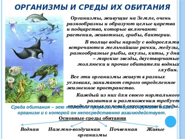 Среда обитания организмов 5 класс биология доклад. Среды обитания живых организмов. Организмы обитающие в водной среде. Водная среда обитания характеристика. Особенности сред обитания организмов.