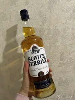 Виски terrier