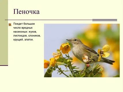 Затенькала