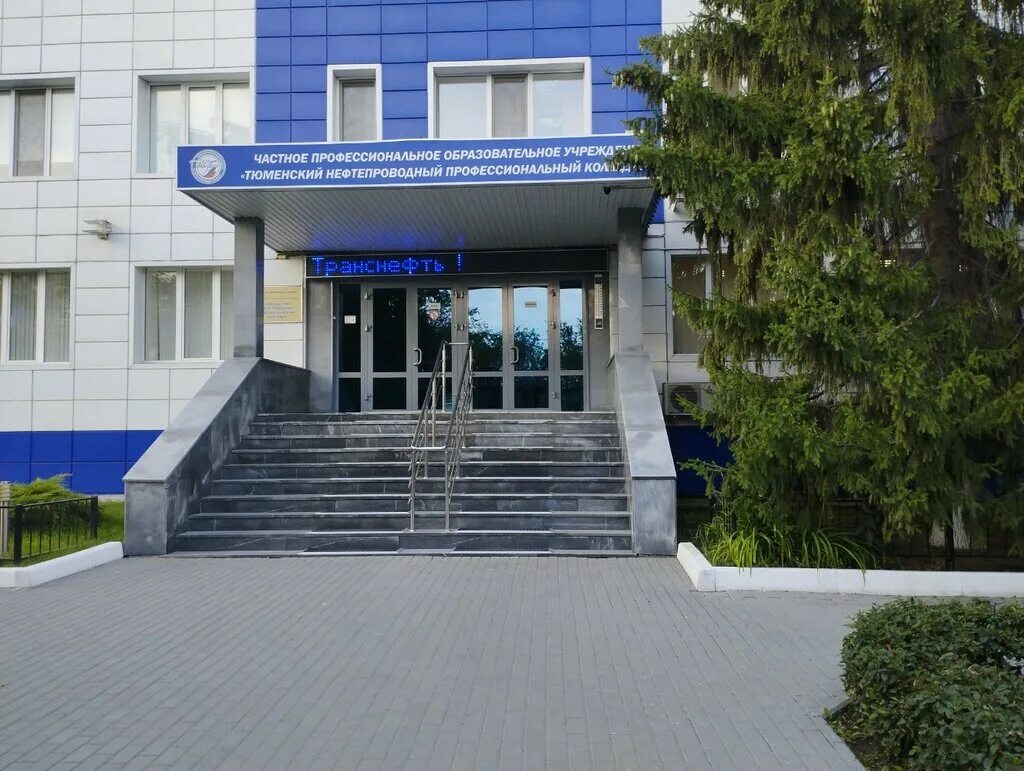 директор нижнетагильского торгово экономического колледжа. ромашка инновационных технологий техникум пятигорск. сибирский профессиональный колледж омск. частный профессиональный колледж. 3.