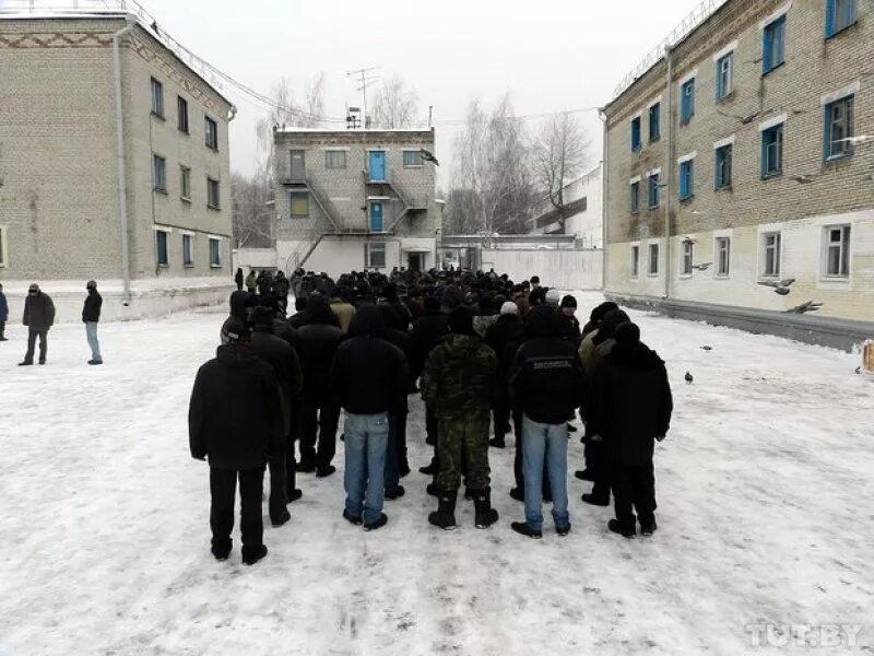 Лтп беларусь гомелевская. Лечебно-трудовой профилакторий. Лтп беларусь. Лтп могилев. Лтп могилев.