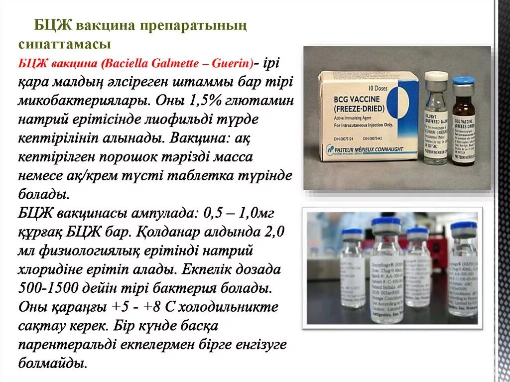 Вакцина против бцж. Вакцина БЦЖ форма выпуска. Ампула вакцины БЦЖ. Вакцина БЦЖ для профилактики туберкулёза".