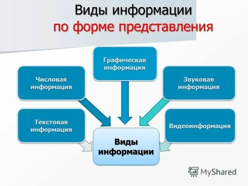 К видам информации относятся. Виды информации. Информация по форме представления. Виды представления информации. Виды информации в информатике.