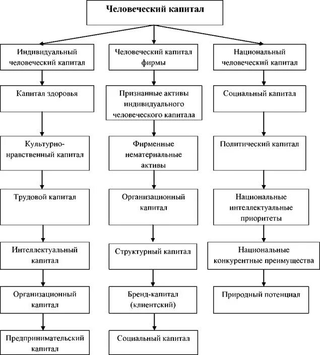 Человеческий капитал здоровье. Структура человеческого капитала схема. Понятие человеческого капитала. Классификация человеческого капитала. Характеристики человеческого капитала.