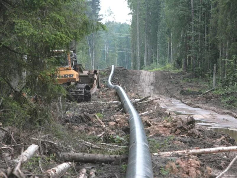 Трасса нефтепровода. Прокладывание газопровода. Трасса магистрального газопровода. Нефтепровод в лесу.