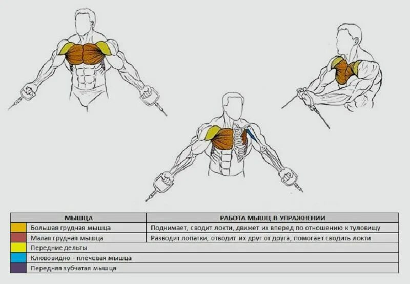 Упражнения для прокачки верхней части грудных мышц. Схема прокачки грудных мышц. Упражнения на верхнюю часть грудных мышц в тренажерном. Упражнения на верх грудных мышц в зале для мужчин. Упражнения на развитие грудных мышц