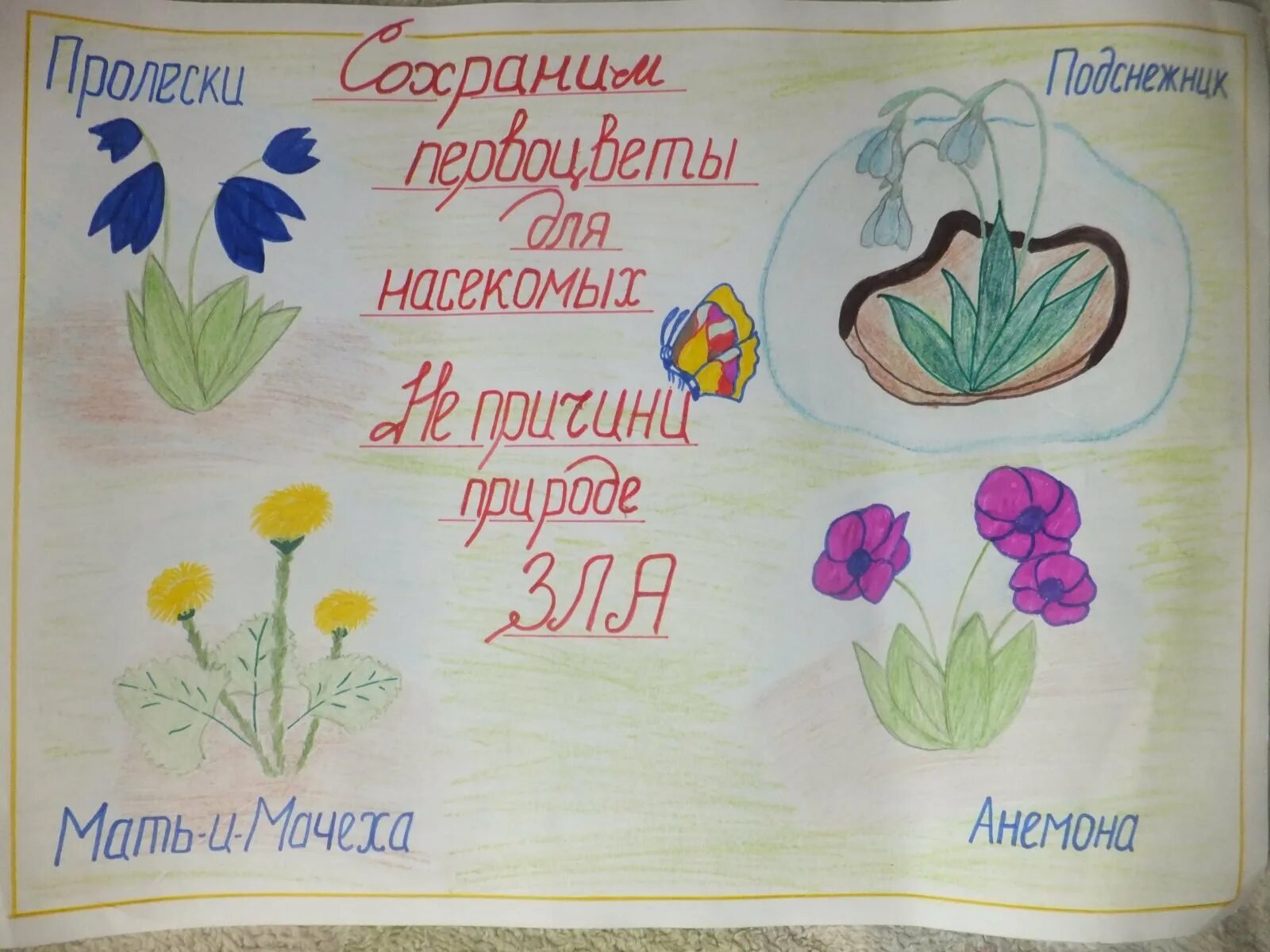 Берегите растения рисунок. Плакат в защиту первоувет. Плакат берегите цветы. Плакат берегите первоцветы. Плакат на тему растения.