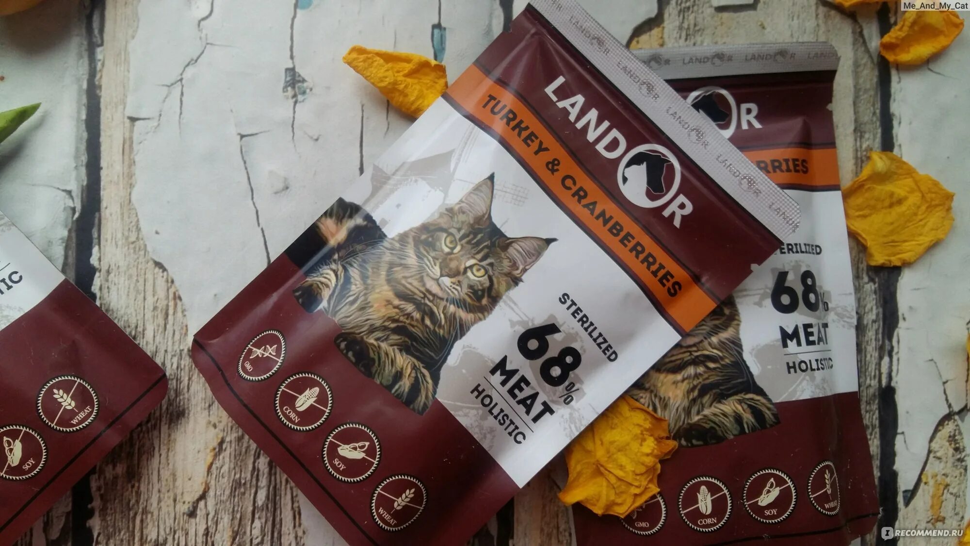 Landor корм для кошек пауч. Ландор влажный корм для кошек. Ландор для котят влажный корм. Корм Landor для кошек жидкий.