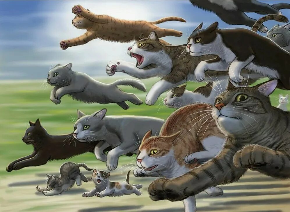 1.12 2 коты. Коты воители коты бегут. японский художник matataku. коты убегают.