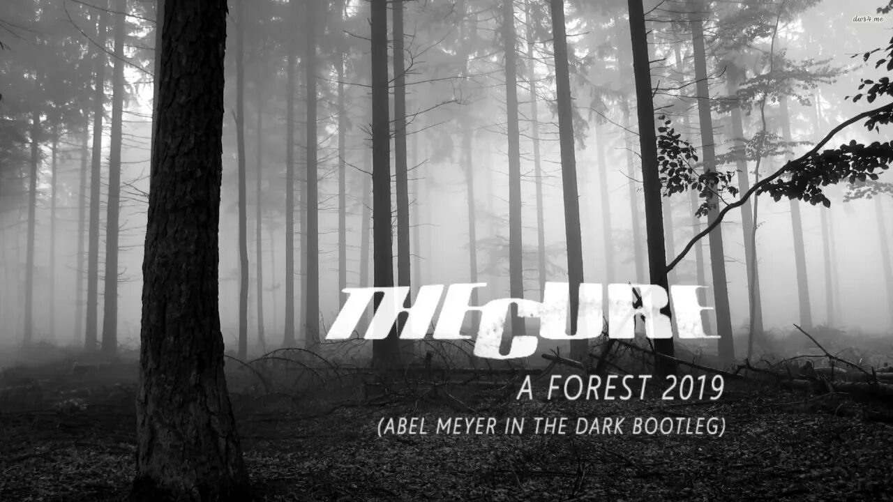 The cure forest. The Cure a Forest. Forest the Cure клип. A Forest the Cure текст. The Cure - a Forest 1980 альбом.