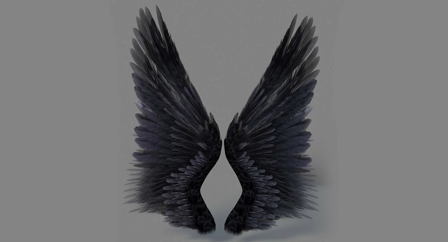 Черные Крылья. Крылья демона. Красивые Крылья. Темные Крылья. Крылья на черном фоне