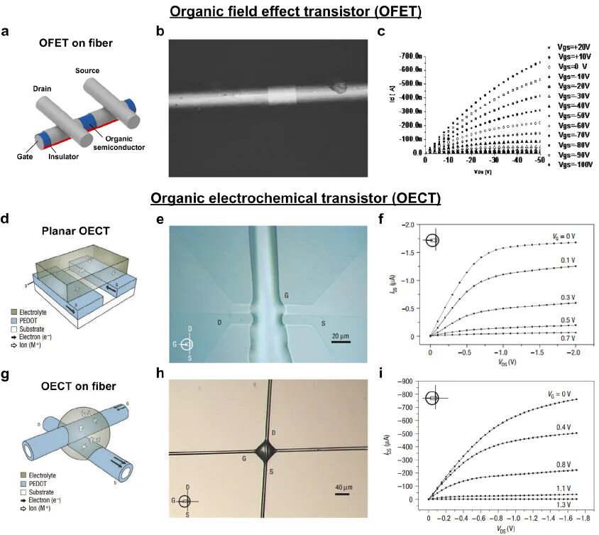 Organic field-Effect Transistor. Органический полевой транзистор. Organic field-Effect Transistors c60. Создание проводящих гибридных плёнок Pedot-PSS. Field effect