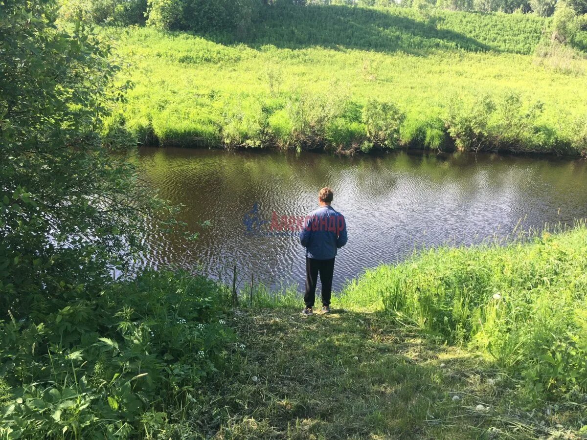 Деревня потанино. Самушкино Волховский район. Деревня Самушкино. Самушкино Волховский район Церковь. Деревня Потанино Волховский район.