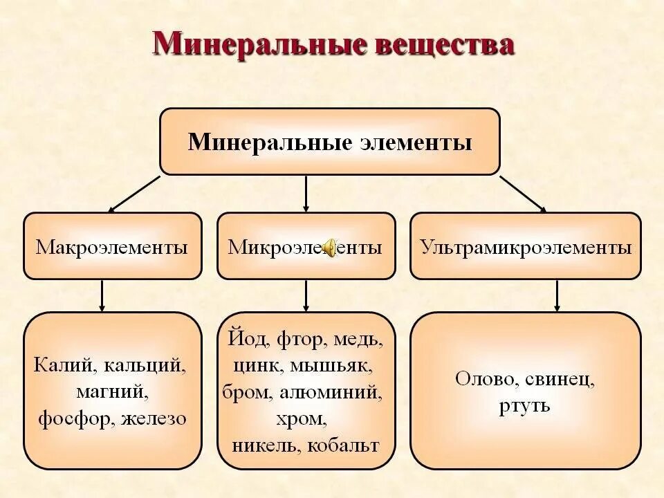 Минеральные вещества схема. Минеральные вещества микроэлементы. Перечислите основные Минеральные вещества организма. Основной источник Минеральных веществ. Питание делится на группы