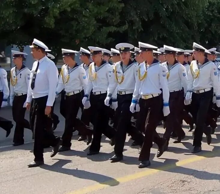 Морфлот сколько служат срочники. Служба ВМФ срочники. Военно морской флот срочники. Морфлот служба. Морфлот срочники.