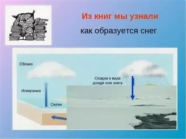 Видео как образуется