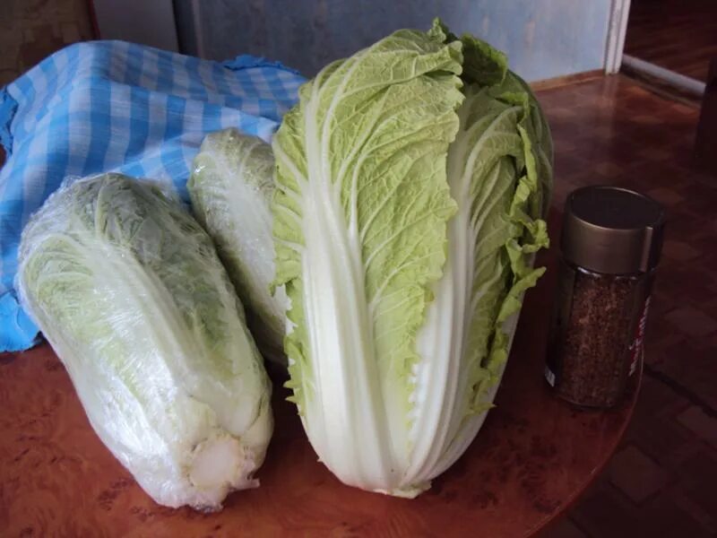 стебли пекинской капусты. пекинская капуста видоизменение. капуста пекинская красная. китайская капуста латук. капуста пекинская медалист.