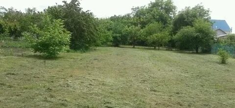Погода усатова