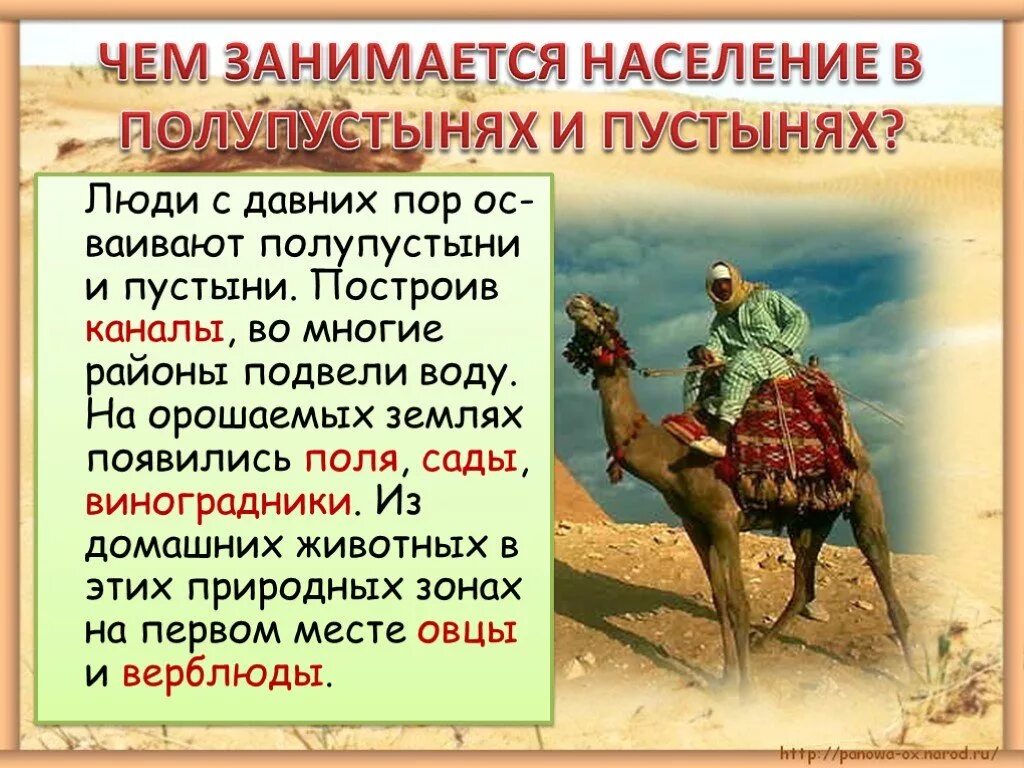 Конспект урока пустыня 4 класс. Полупустыни занятия населения. Занятия людей в полупустыне. Занятия населения пустыни. Занятия населения полупус.