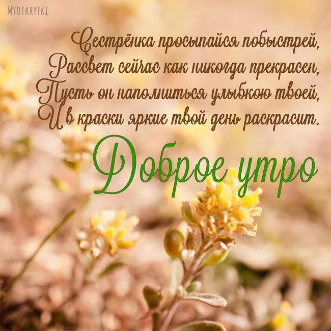 Доброе утро сестричка. Пожелания с добрым утром сестре. Открытки с добрым утром сестра. С добрфм утро систренка. Пожелание утра сестре