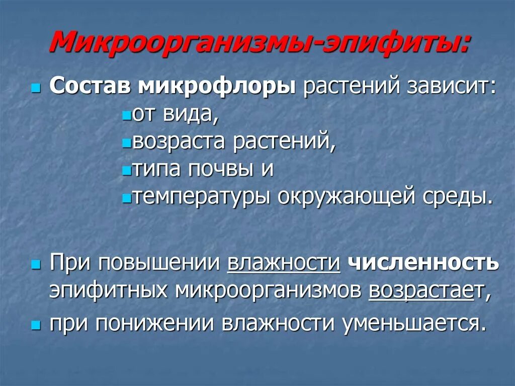 Микрофлора растений. Микрофлора растений. Микрофлора растений. Микрофлора растений. Микрофлора растений.