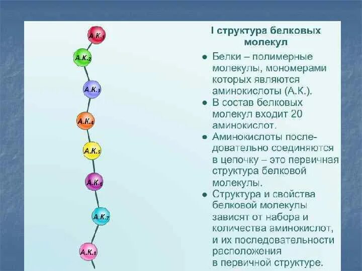 Последовательность аминокислотных остатков в молекуле - Telegraph