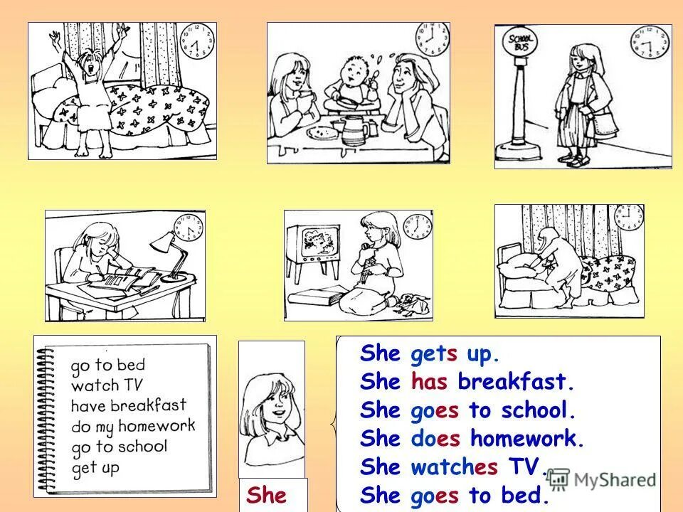 They do does homework every