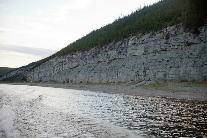 Устье реки оленек. Начало и конец реки оленек. Река лена текст. Устье реки оленек. Площадь реки оленек.