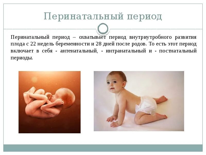 Период острой адаптации новорожденного. Периоды антенатальный перинатальный интранатальный постнатальный. Периоды перинатального развития. Периоды перинатального развития. Перинатальный период особенности.