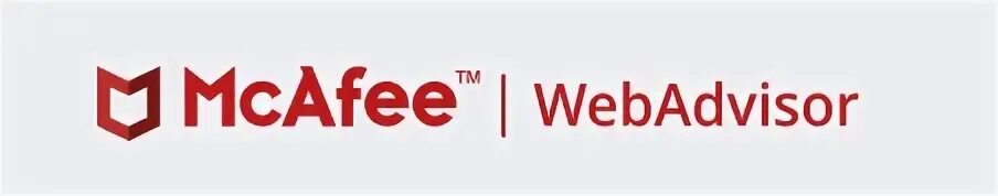 Style net