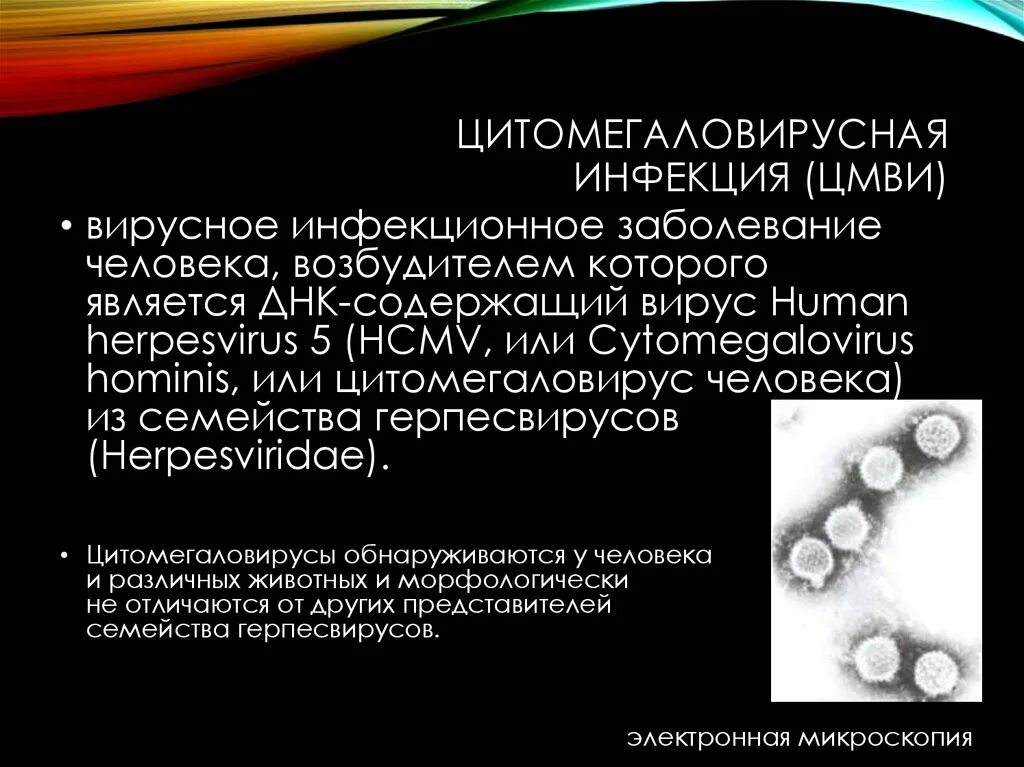 Цмв инфекция что это. Цитомегаловирус входные ворота. Цитомегаловирусная инфекция возбудитель строение. Цитомегаловирусная инфекция поражение иммунной системы. Цитомегаловирусная инфекция (ЦМВИ).