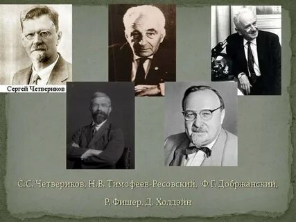Н н четвериков