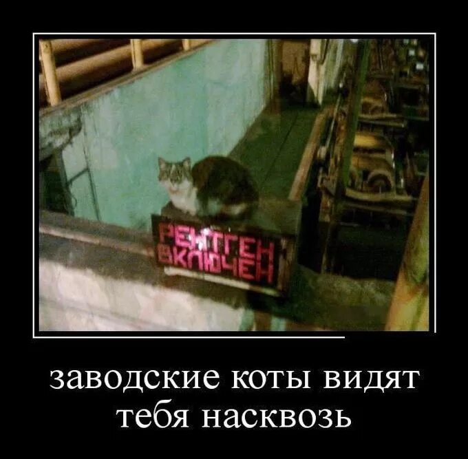 Гудит родной завод. Демотиваторы про завод. Приколы про завод. Смешные шутки про завод. Демотиваторы про завод смешные.