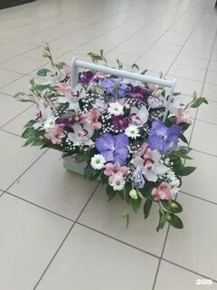 Дом цветов тула
