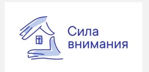 Сила внимания тимченко