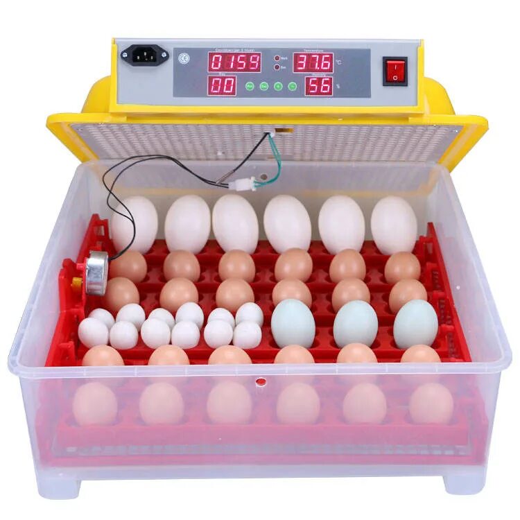 Где находится инкубатор. Инкубатор egg incubator. инкубатор сититек 36. инкубатор для яиц ht1205. инкубатор &quot;wq-24&quot;.