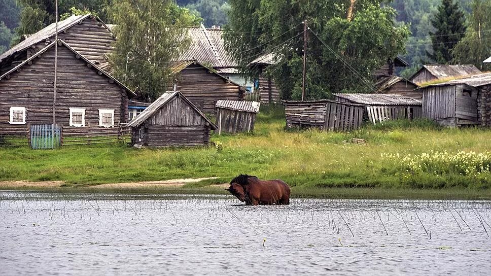 Про русские деревни. Процветающая деревня. Американские деревни и российские деревни. Польская глухая деревня. Супер деревня.