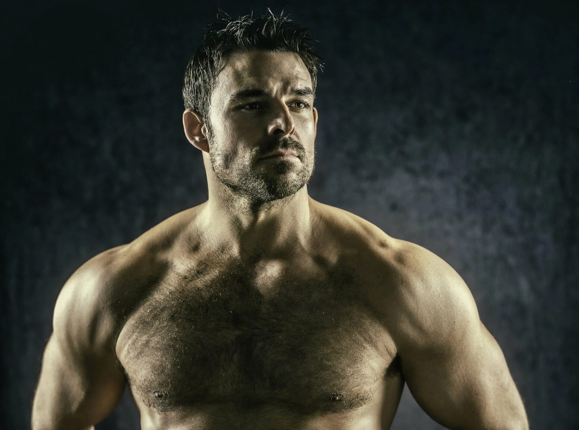 джесси хатч. джесси хатч. джесси хатч. джесси хатч. джесси хатч торс.