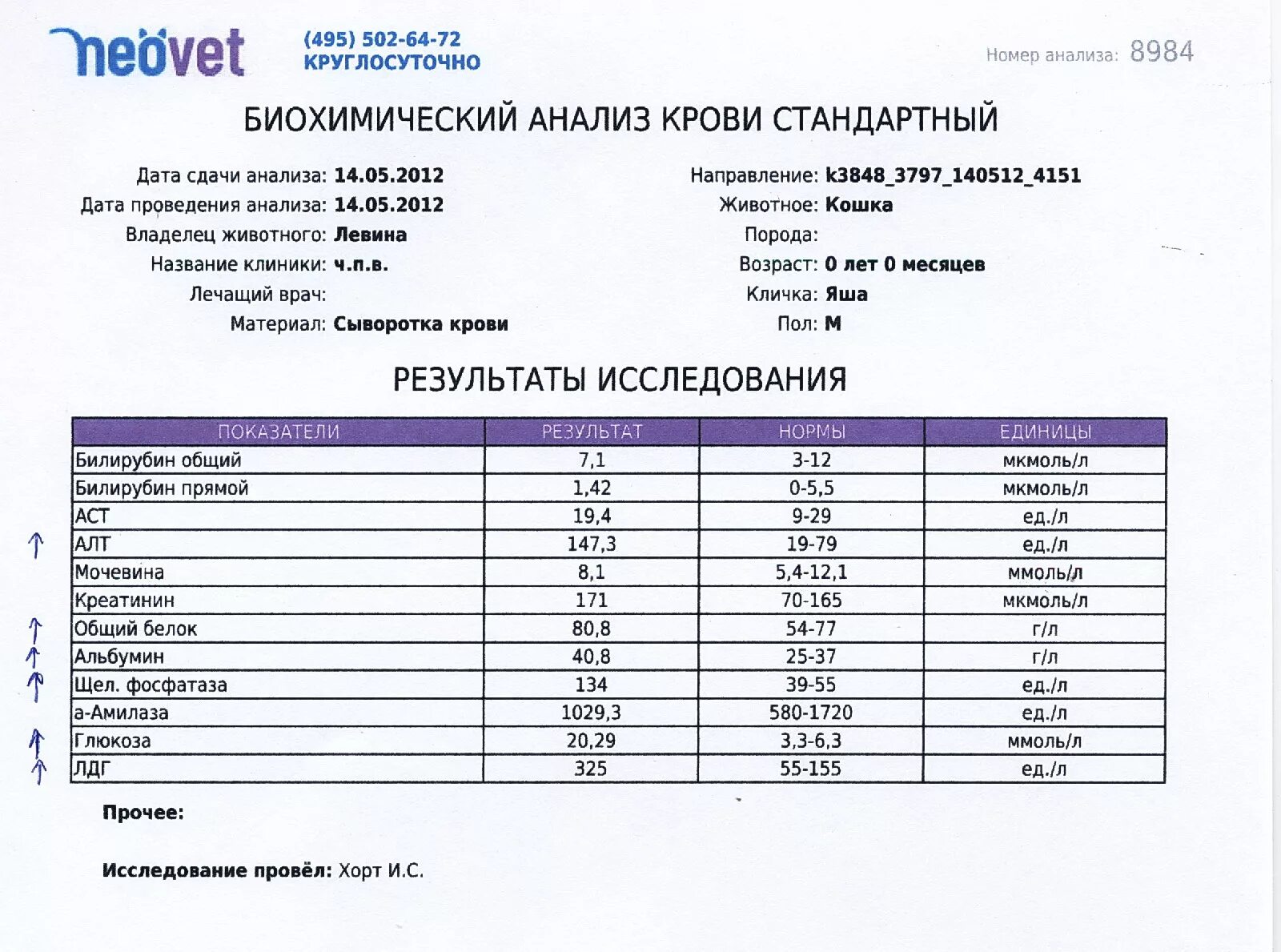 Куплю готовые анализы. Биохимия крови анализ показатели. Биохимический анализ крови расшифровка у женщин 36 лет норма. Биохимический анализ крови норма бланк. Биохимия кошачьего анализа крови норма.