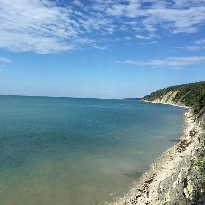 джанхот голубая бездна кемпинг. сосновая роща пицундской геленджик сосны. кемпинг сосновый бор абхазия. сосновый краснодарский край. кемпинг сосновое в геленджике.