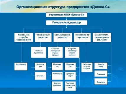 Характеристика элементов организационной структуры управления