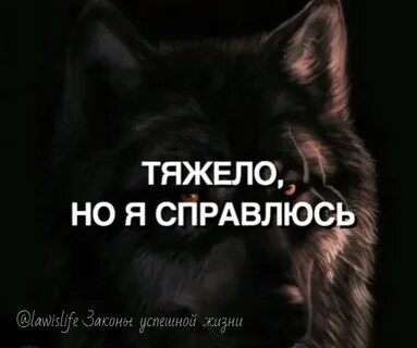 Я смог я продержался