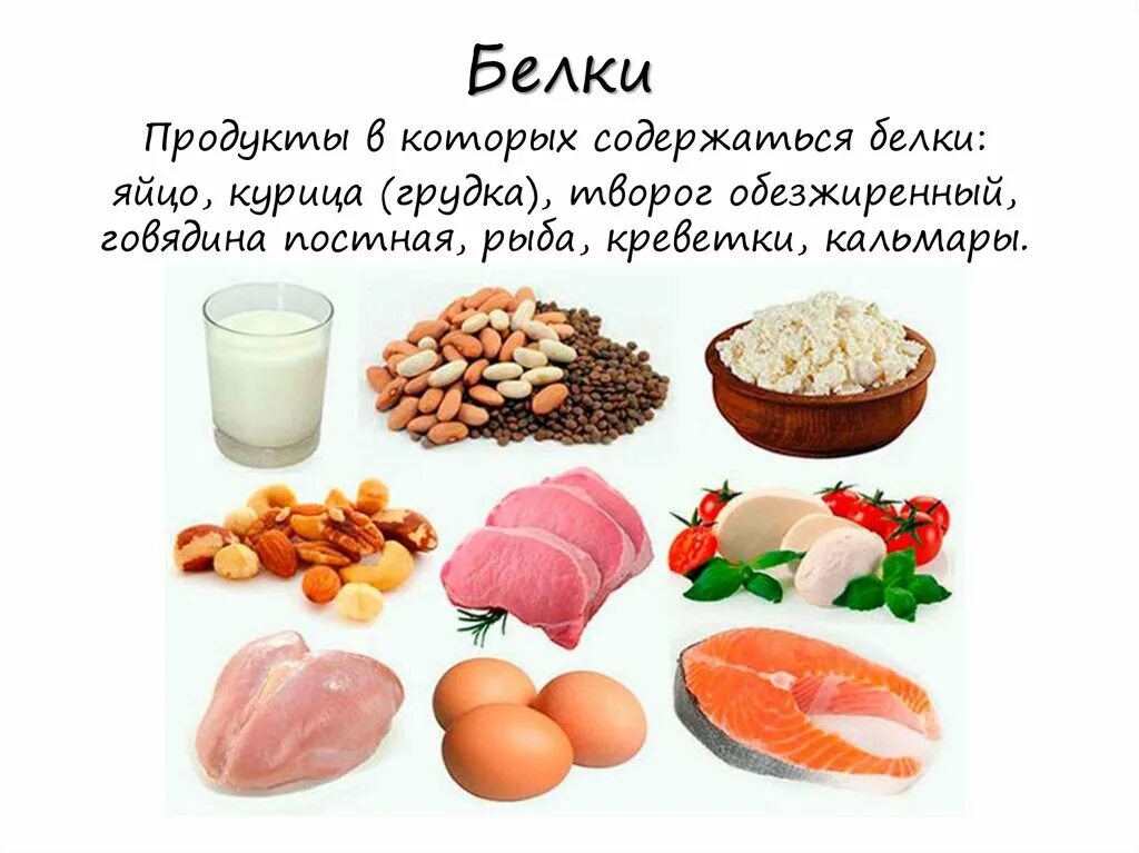 Высокобелковые продукты. Белковые продукты. Продукты в которых много белков. Продукты в которых содержатся белки.