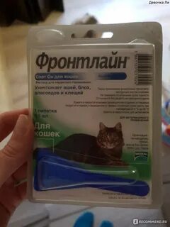 Фронтлайн для кошек