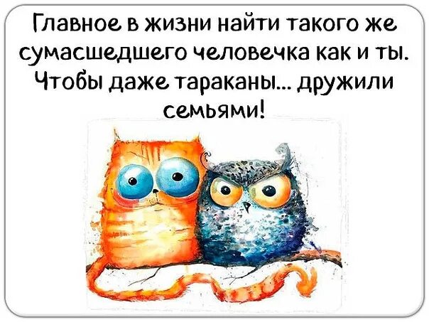 Найти сумасшедший. Главное в жизни найти такого же. в жизни главное найти такого же сумасшедшего как и ты. найти такого же сумасшедшего. главное в этой жизни найти такого же.