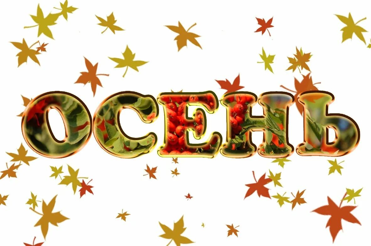 Сочетание слово осень. Осень надпись. золотая осень надпись. ноябрь надпись. красивые осенние надписи.