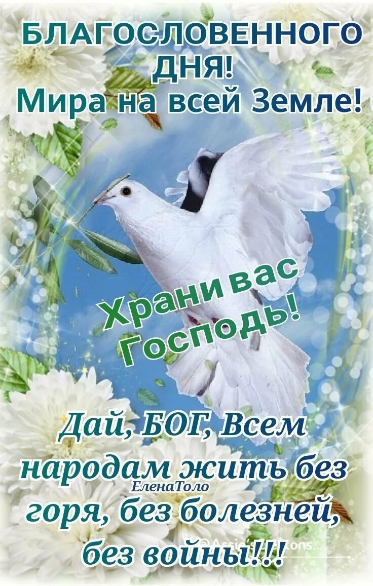 Картинки миру благословенного дня