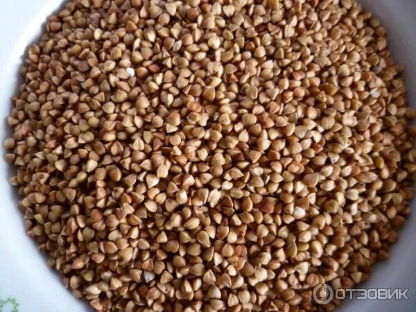 Зеленая и коричневая гречка. Гречка зеленая и коричневая разница. Крупа гречневая быстроразваривающаяся алейка. Коричневая гречка. Мешок гречки.