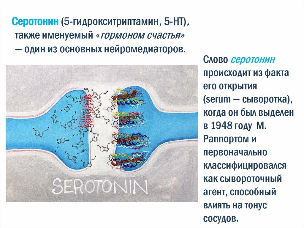 Серотонин нейромедиатор. Серотонин как гормон. Гидрокситриптамин. Выработка серотонина. Серотонин медиатор