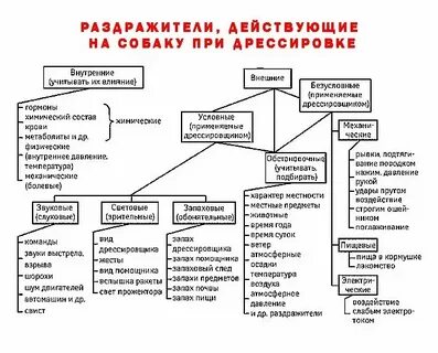 Классификация раздражителей